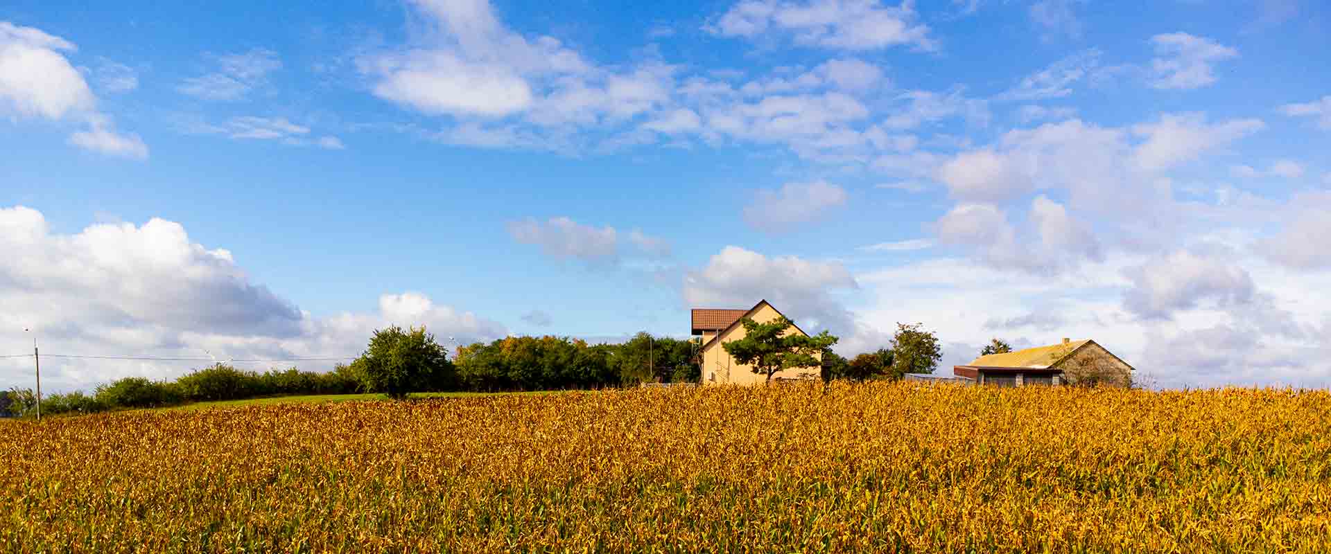 Agricultural - Property for Sale by Durrants